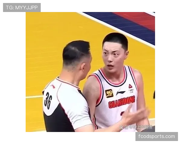 解析技术犯规和违体犯规区别的判罚依据